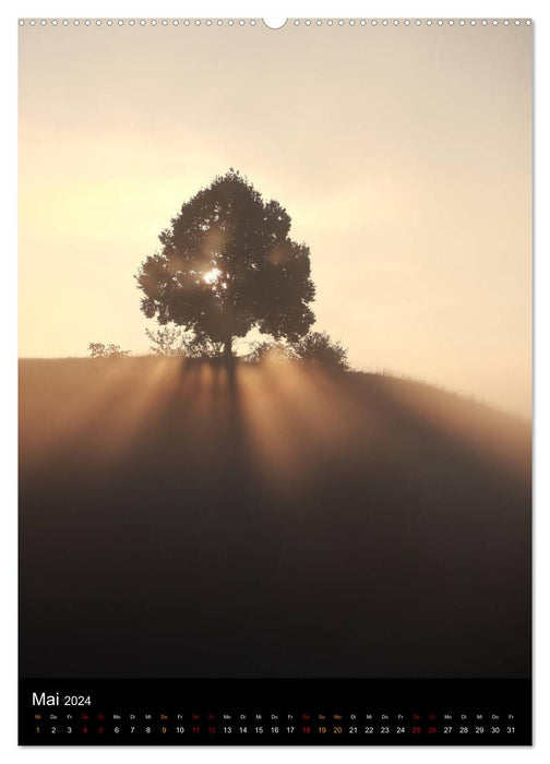 Bäume - Stilles Leben (CALVENDO Premium Wandkalender 2024)