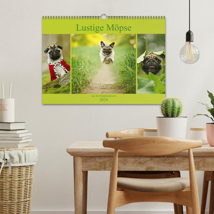 Funny pugs from the dog clipping shop (CALVENDO wall calendar 2024) 