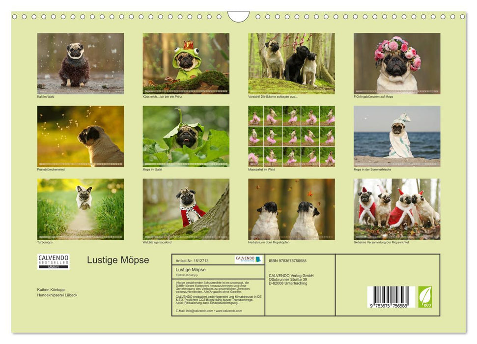 Funny pugs from the dog clipping shop (CALVENDO wall calendar 2024) 