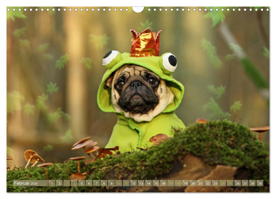 Funny pugs from the dog clipping shop (CALVENDO wall calendar 2024) 