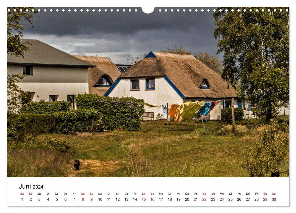 Ein Tag auf der Insel Hiddensee (CALVENDO Wandkalender 2024)