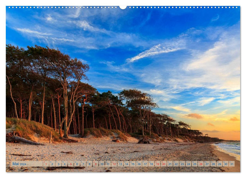Fischland-Darß-Zingst 2024 Impressionen einer Halbinsel (CALVENDO Premium Wandkalender 2024)