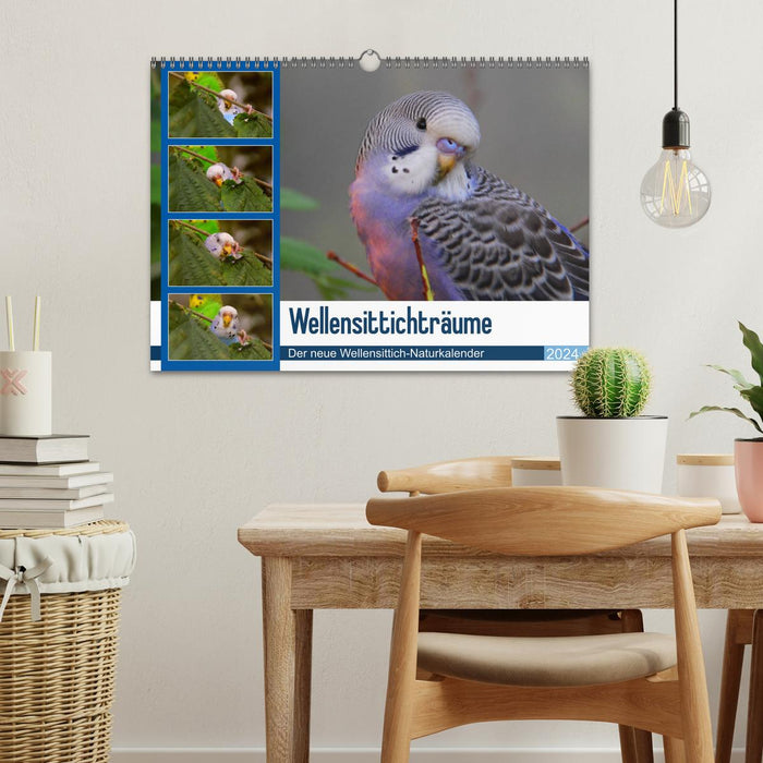 Budgie dreams - The new budgie nature calendar (CALVENDO wall calendar 2024) 
