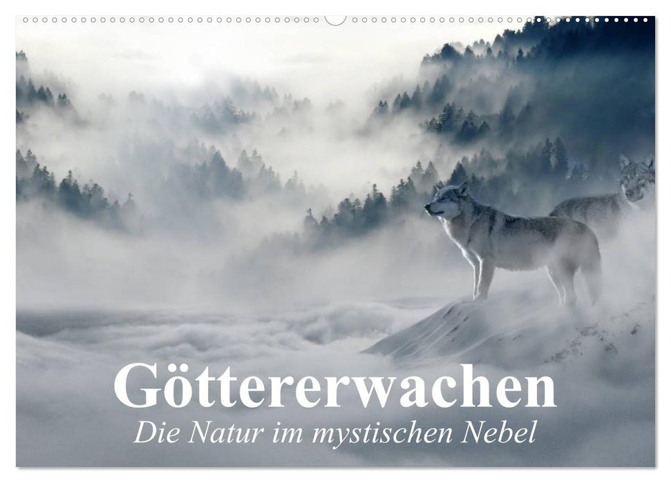 Gods Awakening. Nature in the mystical fog (CALVENDO wall calendar 2024) 