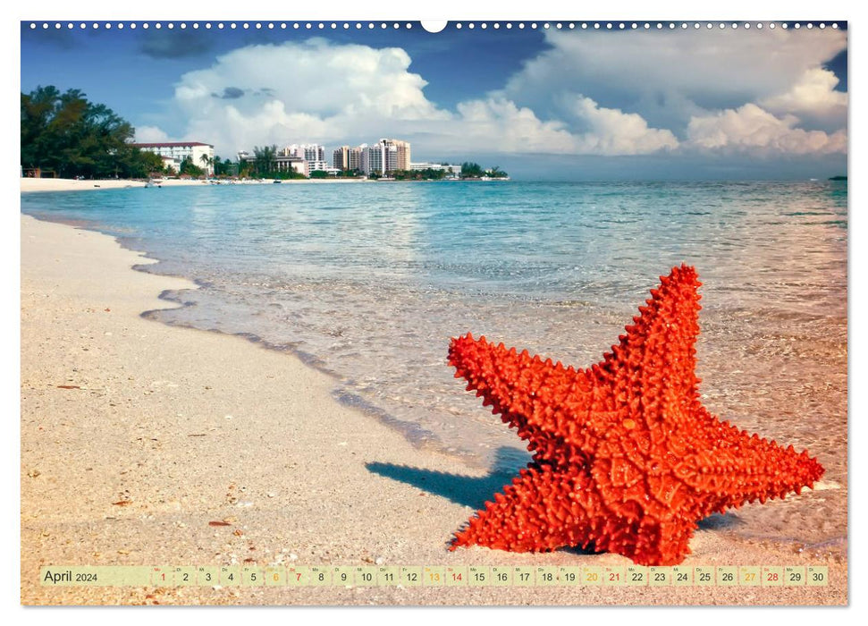 Die Westindischen Inseln - Bahamas (CALVENDO Wandkalender 2024)