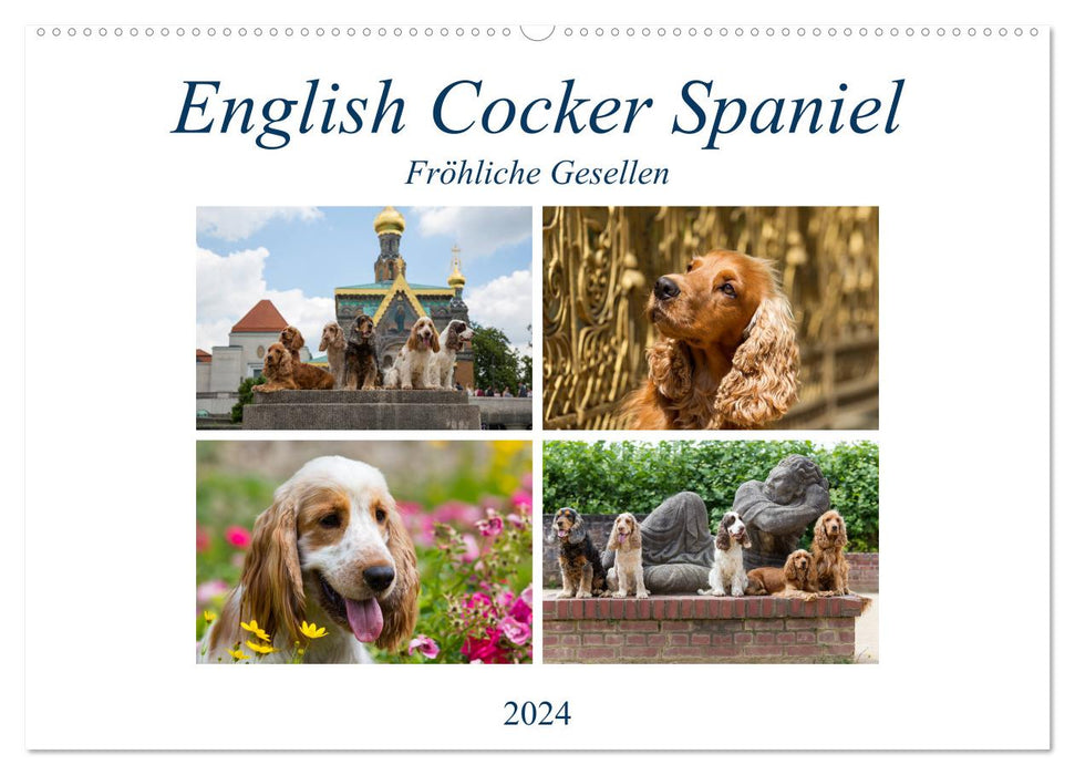 English Cocker Spaniel - Fröhliche Gesellen (CALVENDO Wandkalender 2024)