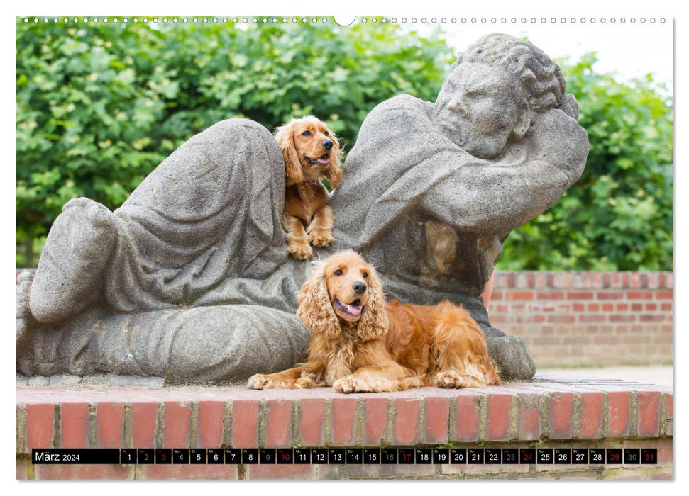 English Cocker Spaniel - Fröhliche Gesellen (CALVENDO Wandkalender 2024)