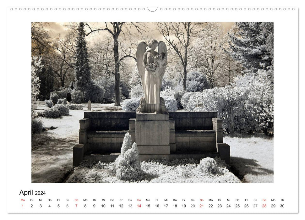 your guardian angel - Dein Schutzengel für jeden Tag (CALVENDO Wandkalender 2024)