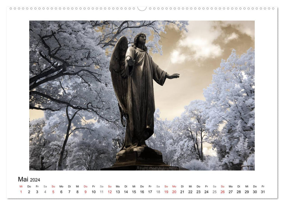 your guardian angel - Dein Schutzengel für jeden Tag (CALVENDO Wandkalender 2024)