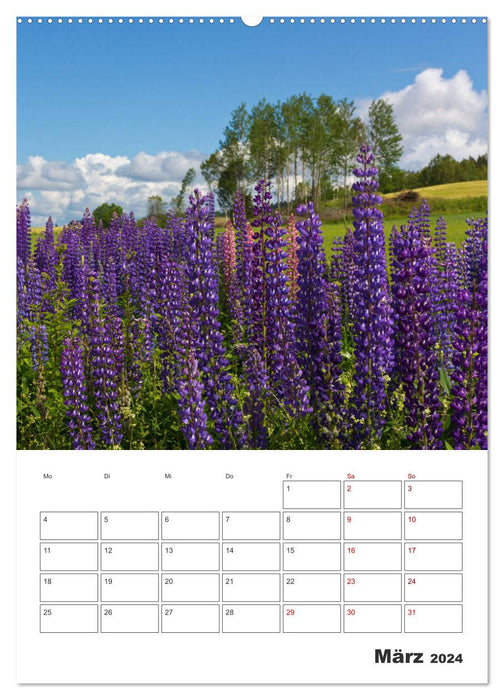 SWEDEN Around the island of Smögen in the Skagerrak (CALVENDO wall calendar 2024) 