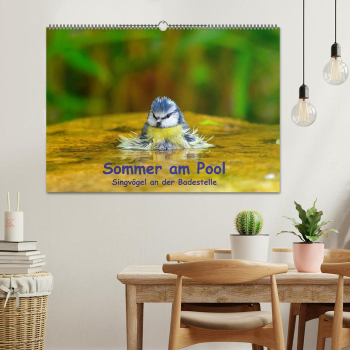 Summer by the pool - songbirds at the bathing area (CALVENDO wall calendar 2024) 