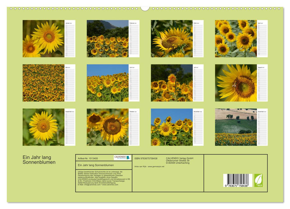 Sunflowers for a year (CALVENDO Premium Wall Calendar 2024) 