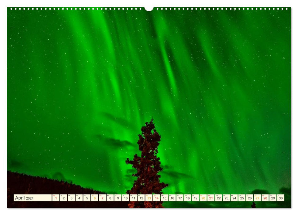 Starry sky in magical light - Northern Lights and Milky Way (CALVENDO Premium Wall Calendar 2024) 