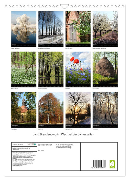 State of Brandenburg in the changing seasons (CALVENDO wall calendar 2024) 