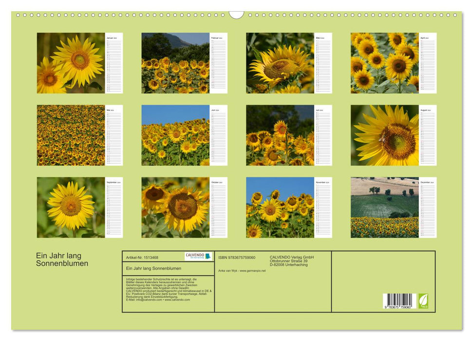 Ein Jahr lang Sonnenblumen (CALVENDO Wandkalender 2024)