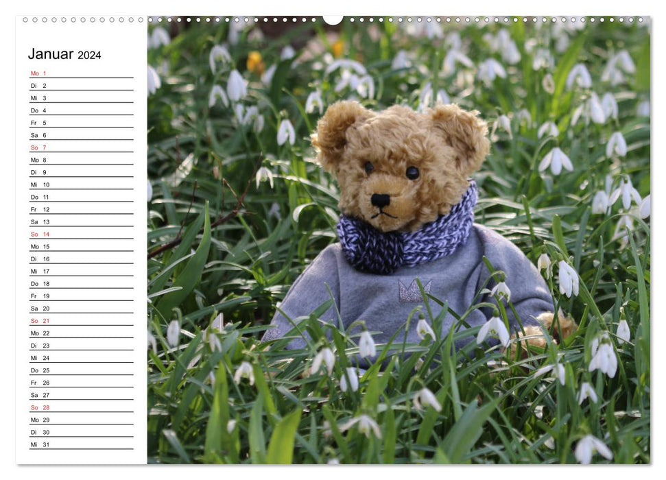 Teddy unterwegs (CALVENDO Premium Wandkalender 2024)