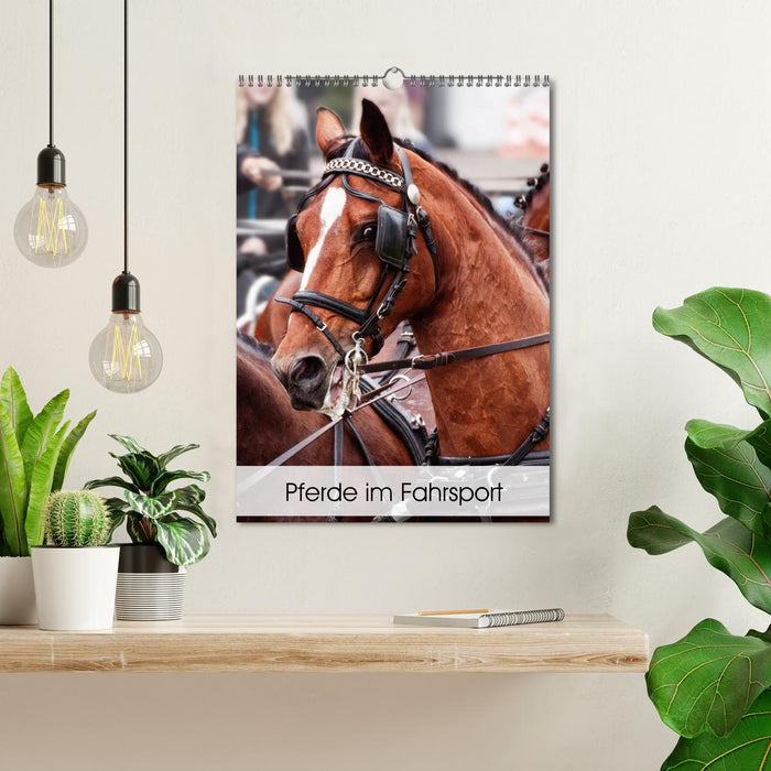 Horses in driving sports (CALVENDO wall calendar 2024) 