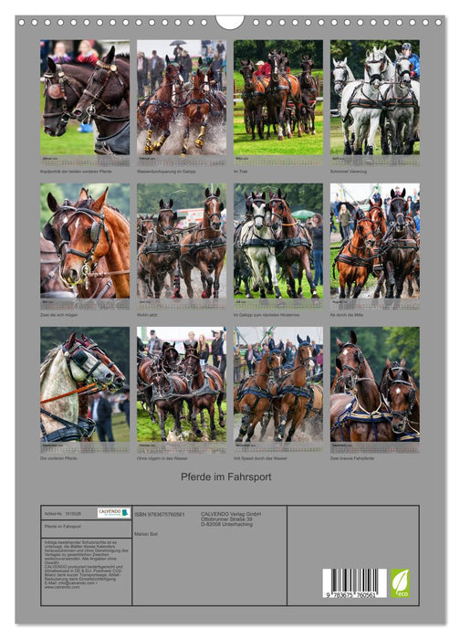 Horses in driving sports (CALVENDO wall calendar 2024) 