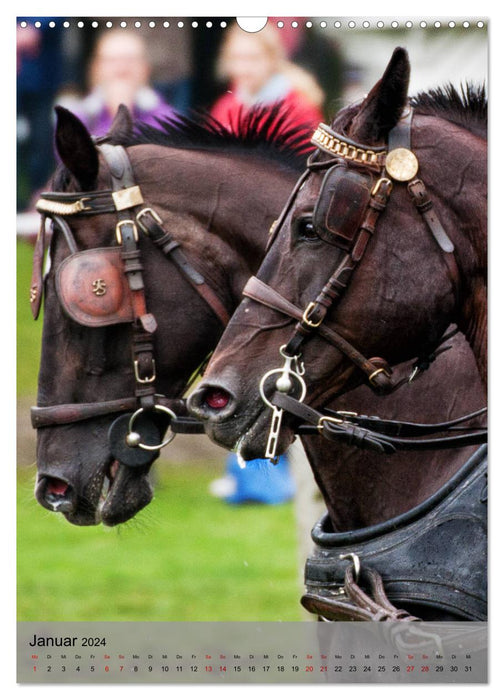 Horses in driving sports (CALVENDO wall calendar 2024) 