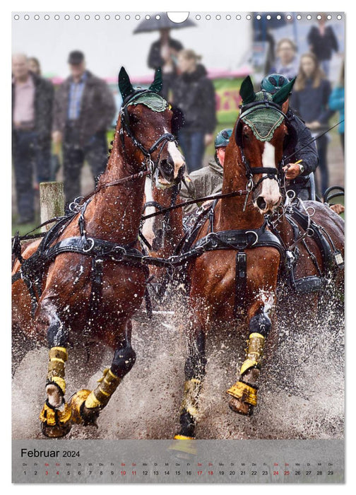 Pferde im Fahrsport (CALVENDO Wandkalender 2024)