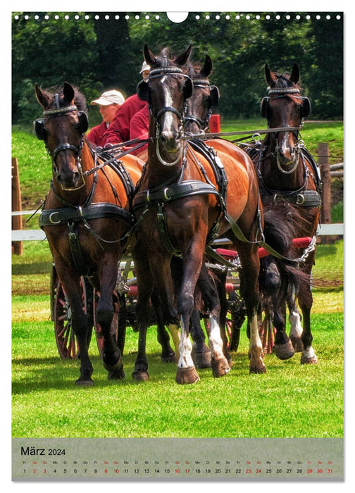 Horses in driving sports (CALVENDO wall calendar 2024) 