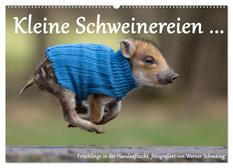 Kleine Schweinereien (CALVENDO Wandkalender 2024)