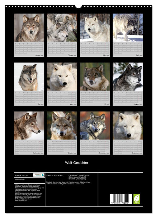 Wolf-Gesichter (CALVENDO Premium Wandkalender 2024)