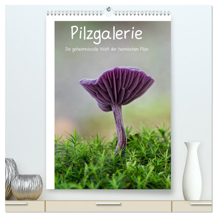 Pilzgalerie - Die geheimnisvolle Welt der heimischen Pilze (CALVENDO Premium Wandkalender 2024)
