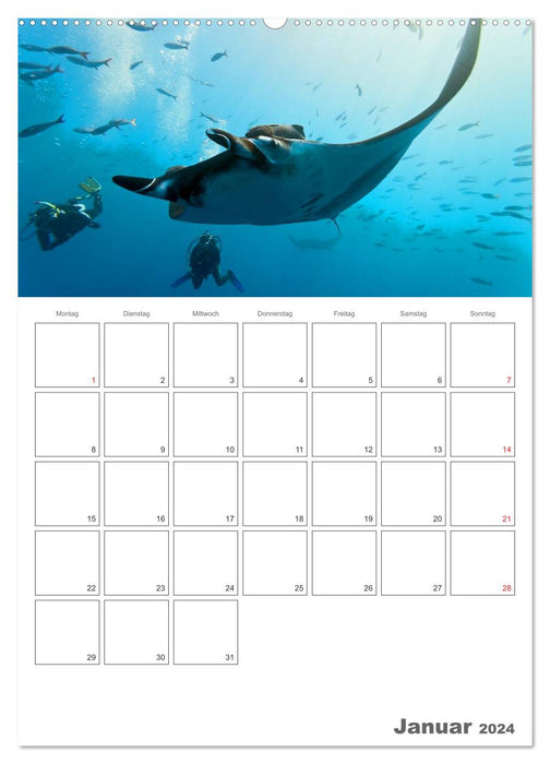 Maldives – Rêver au paradis (Calvendo Premium Wall Calendar 2024) 