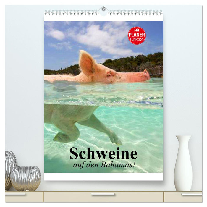 Des cochons aux Bahamas ! (Calendrier mural CALVENDO Premium 2024) 