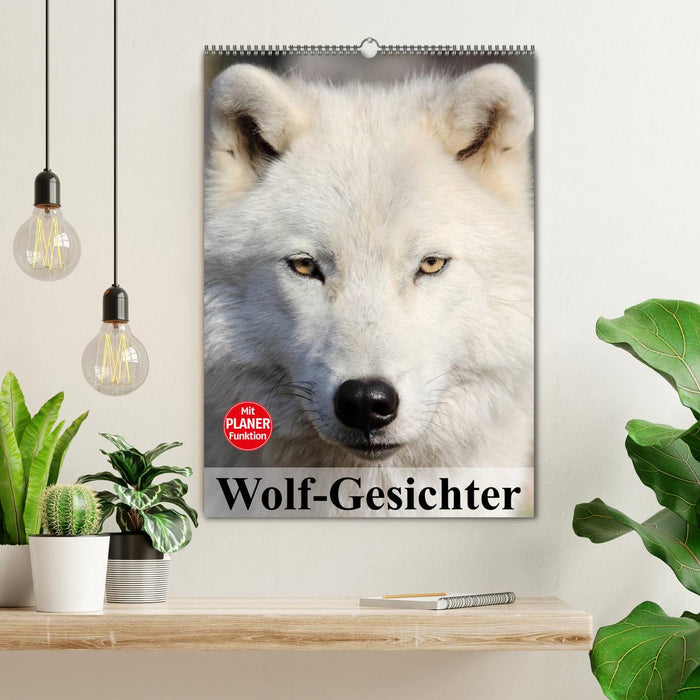 Wolf-Gesichter (CALVENDO Wandkalender 2024)