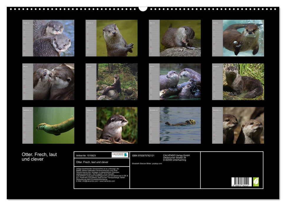 Otter. Frech, laut und clever (CALVENDO Wandkalender 2024)