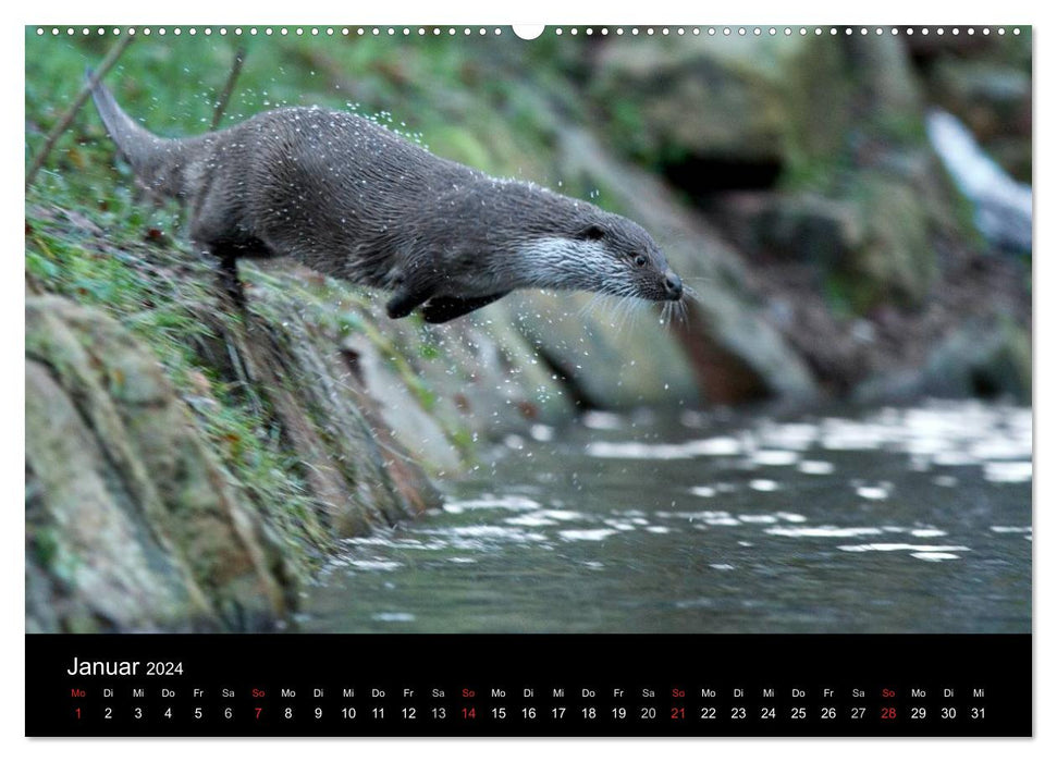 Wilde Heimat (CALVENDO Wandkalender 2024)