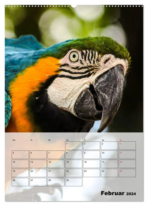 Macaws. The Parrot Planner (CALVENDO Wall Calendar 2024) 