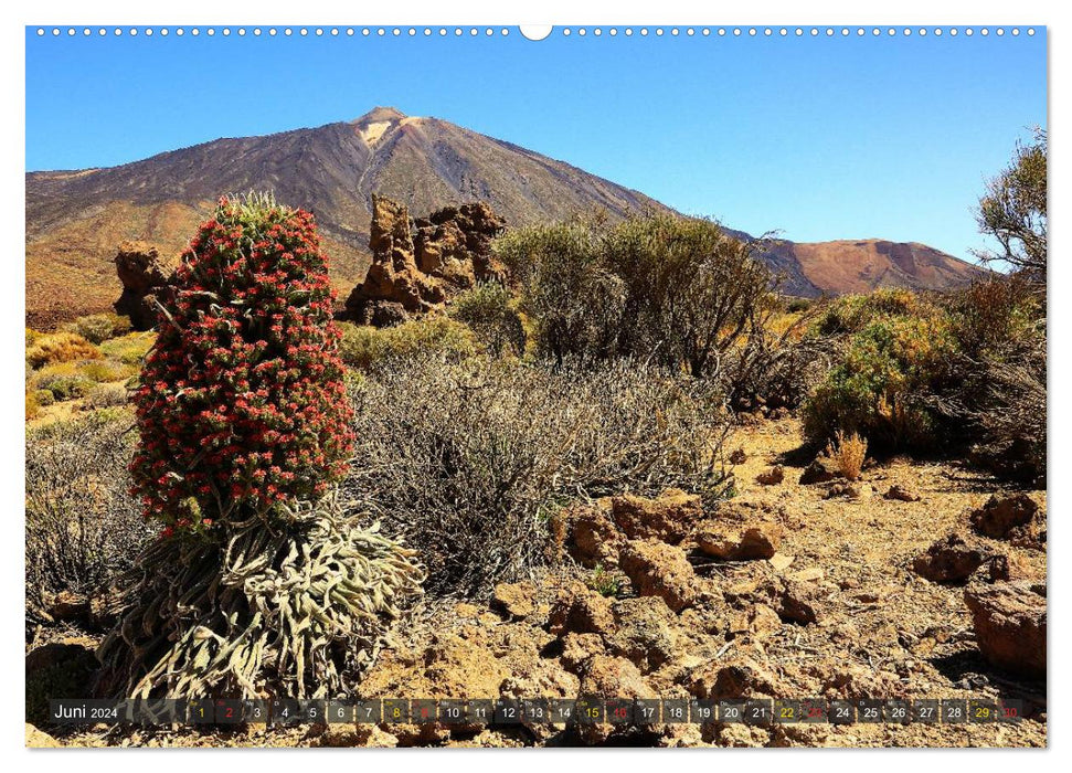 The North of Tenerife (CALVENDO Premium Wall Calendar 2024) 