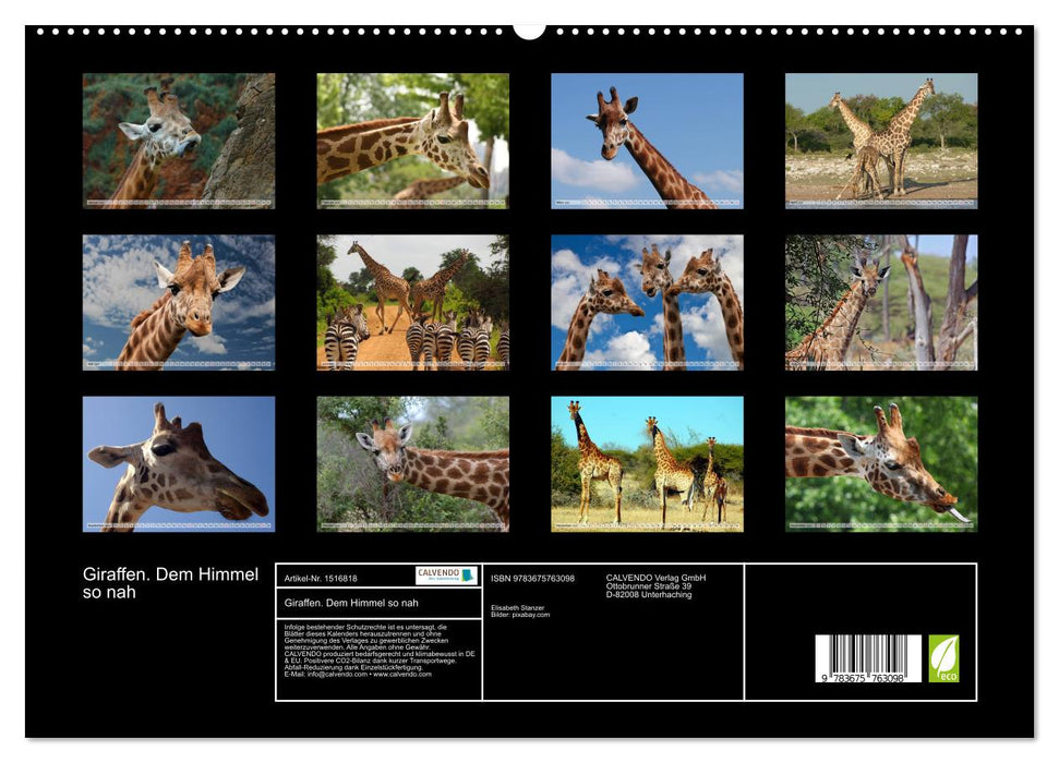 Giraffes. So close to heaven (CALVENDO Premium Wall Calendar 2024) 