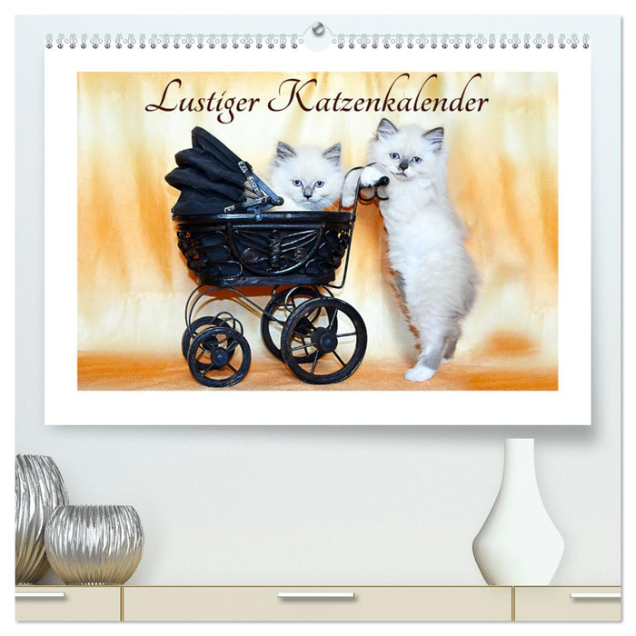 Funny cat calendar (CALVENDO Premium Wall Calendar 2024) 