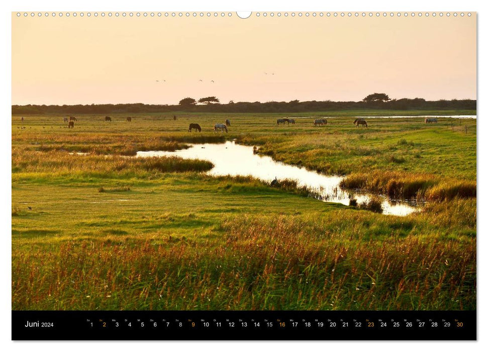 Longing Hiddensee 2024 (CALVENDO Premium Wall Calendar 2024) 