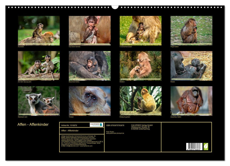Monkeys - monkey children (CALVENDO wall calendar 2024) 