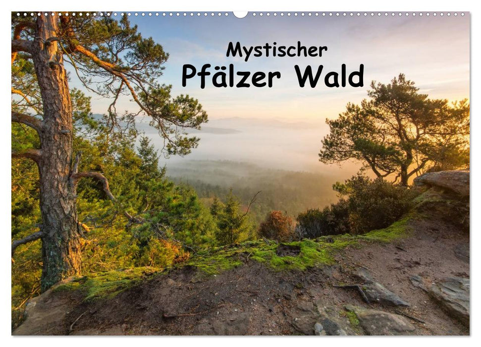 Mystischer Pfälzer Wald (CALVENDO Wandkalender 2024)