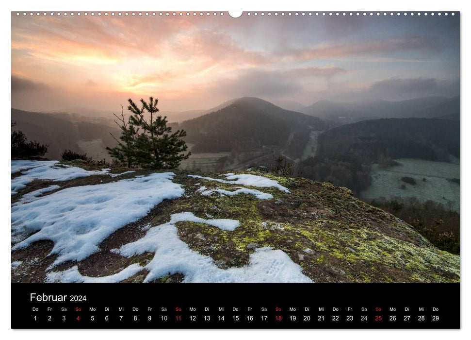 Forêt mystique du Palatinat (calendrier mural CALVENDO 2024) 