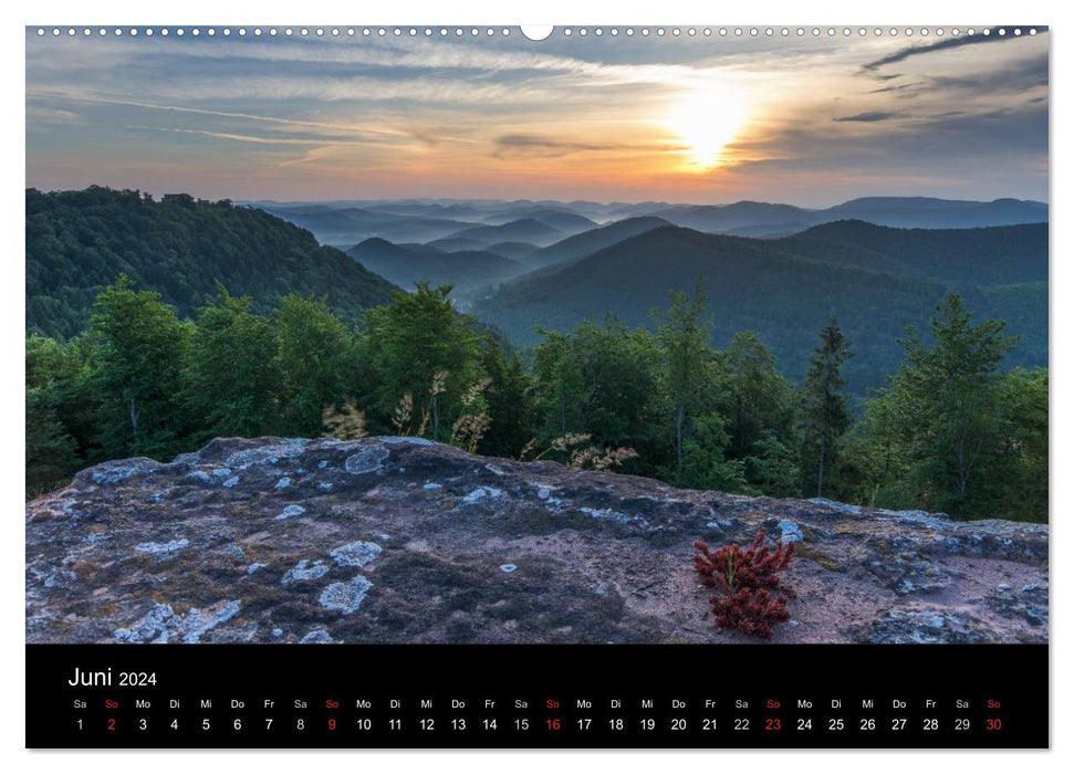 Forêt mystique du Palatinat (calendrier mural CALVENDO 2024) 