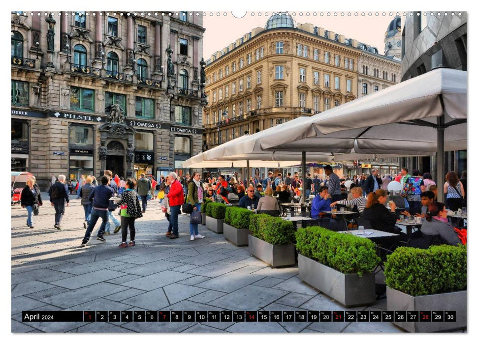 Vienna - Capital City with Charm (CALVENDO Premium Wall Calendar 2024) 
