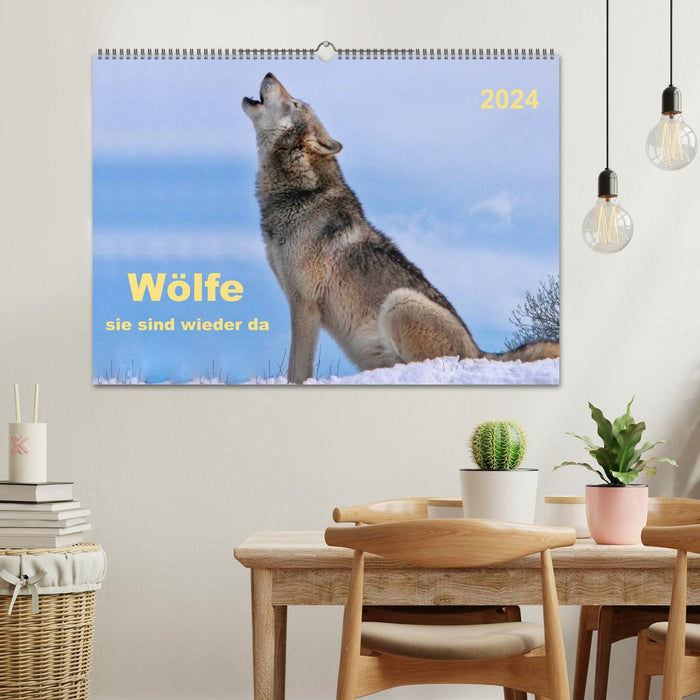 Wolves - they are back (CALVENDO wall calendar 2024) 