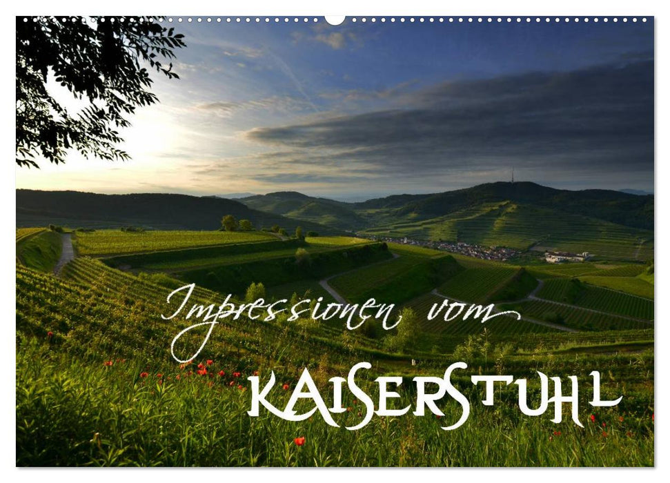 Impressions from the Kaiserstuhl (CALVENDO wall calendar 2024) 