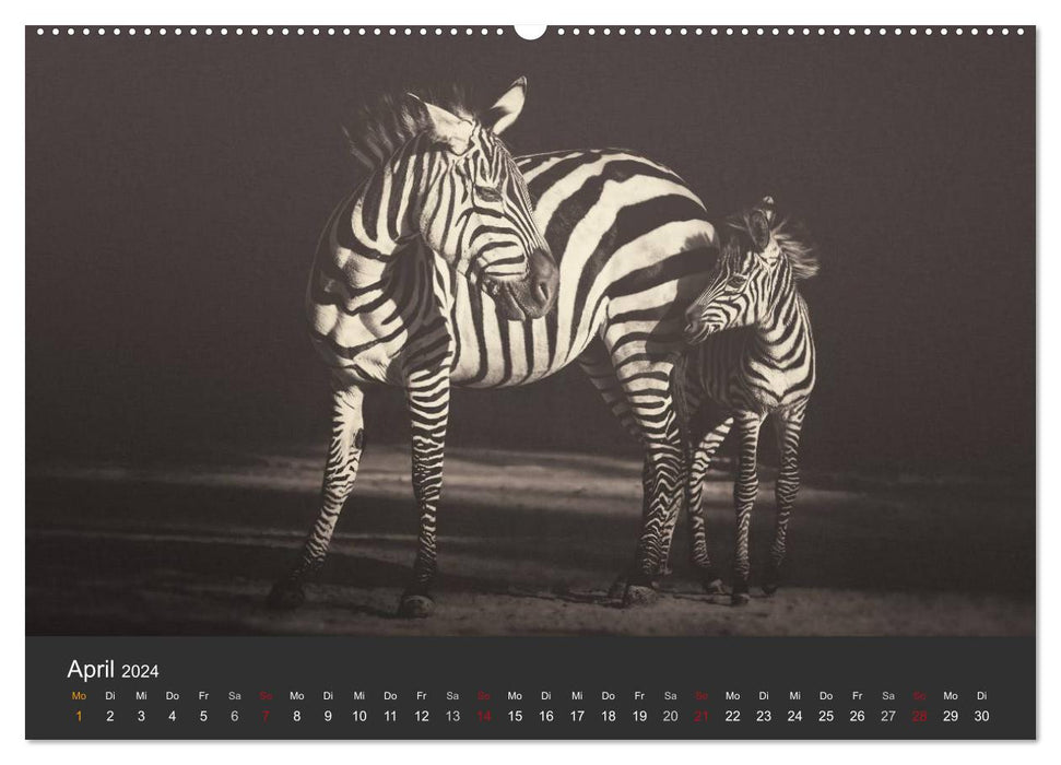 African Souls - afrikanische Tiere mit Seele (CALVENDO Premium Wandkalender 2024)