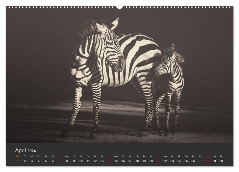 African Souls - Animaux africains avec âme (Calvendo Premium Wall Calendar 2024) 