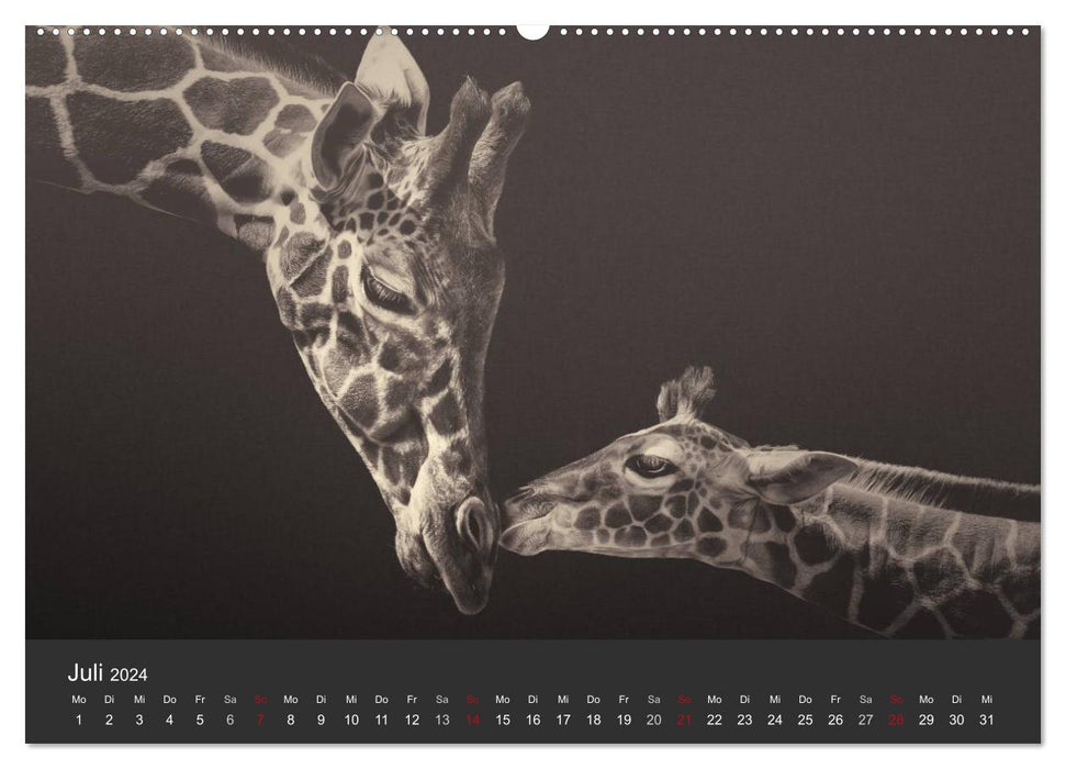 African Souls - Animaux africains avec âme (Calvendo Premium Wall Calendar 2024) 