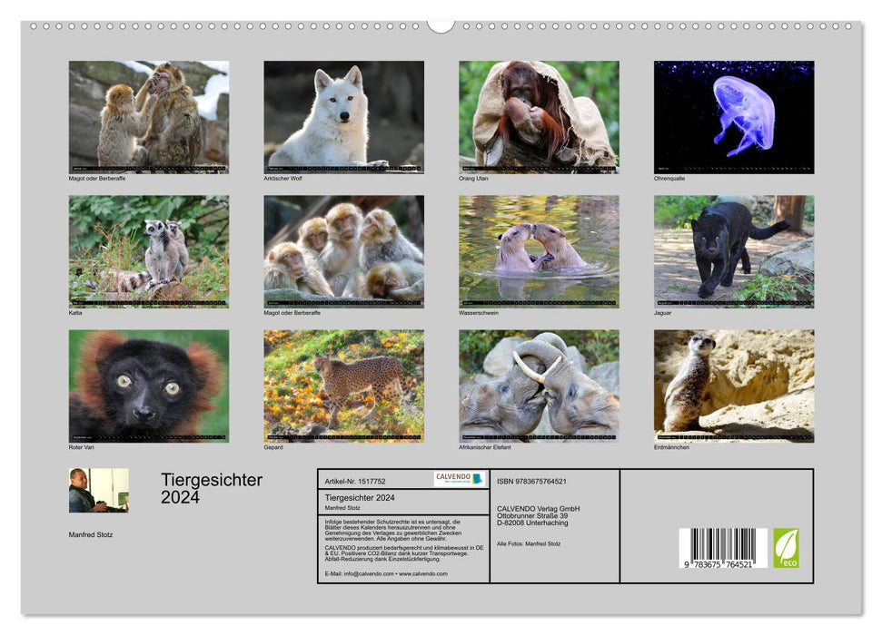 Tiergesichter 2024 (CALVENDO Premium Wandkalender 2024)