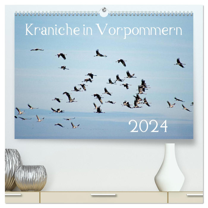 Kraniche in Vorpommern (CALVENDO Premium Wandkalender 2024)